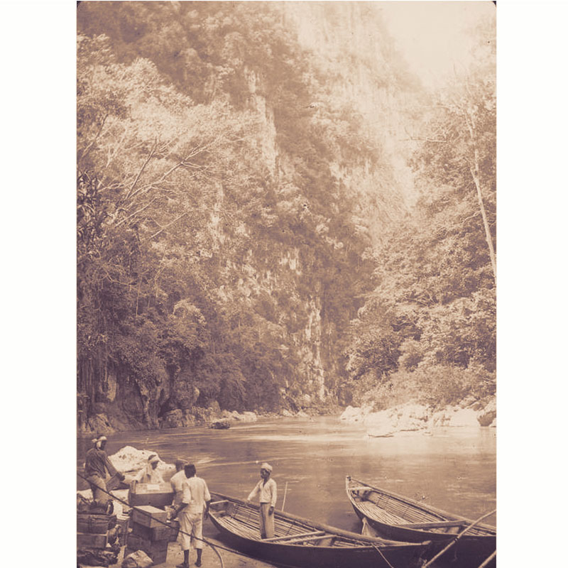 A picture entitled Blusukan Rimba