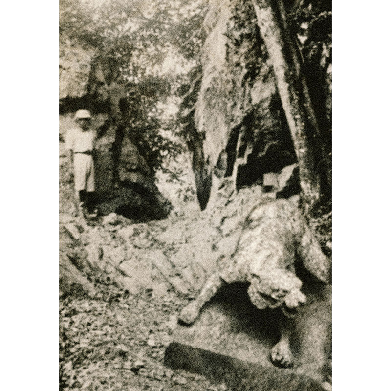 A picture entitled Arca di Hutan Rumpun Kelok